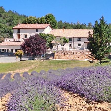 Domaine De Prefaissal Bed and Breakfast Mezel  Εξωτερικό φωτογραφία