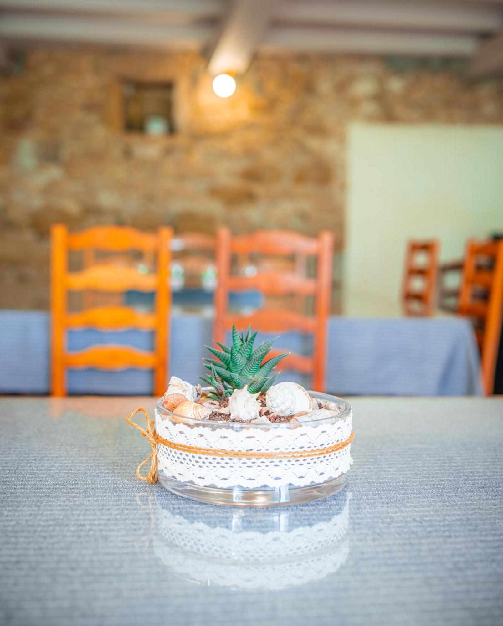 Domaine De Prefaissal Bed and Breakfast Mezel  Εξωτερικό φωτογραφία